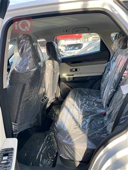 جيتور داشينج